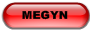 MEGYN